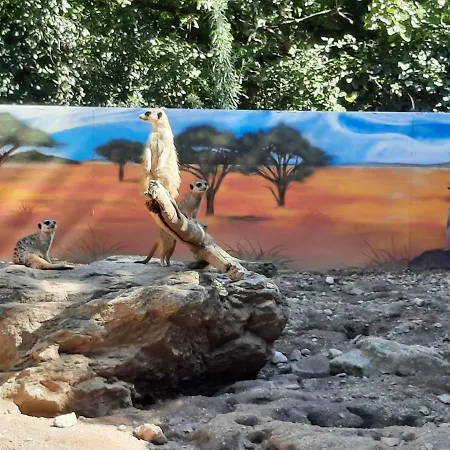 Séjour chez l'habitant Privée Climatisée Chez Particulier, Wifi *