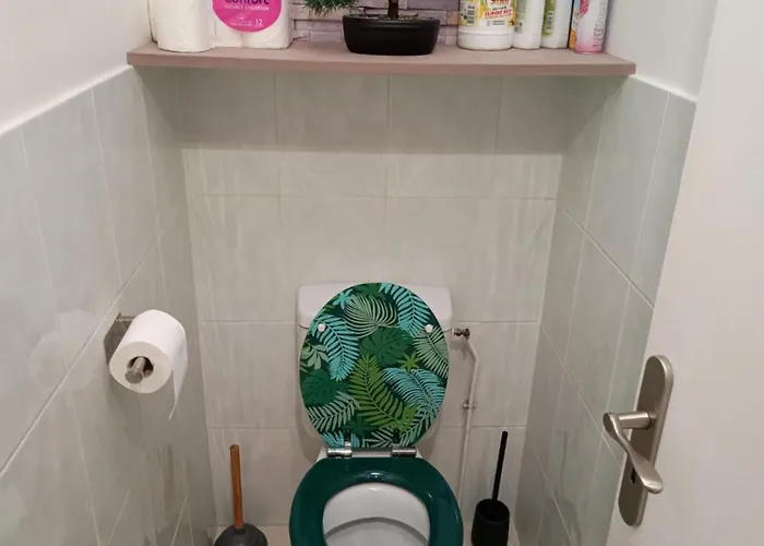 Quarto em Acomodações Particulares Cosy, Equipe, Wi-fi Proche Clinique Saint-pierre *